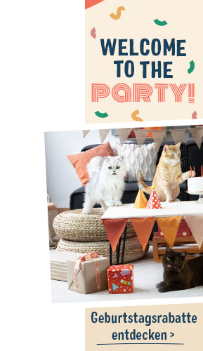 BirthdayCampaign