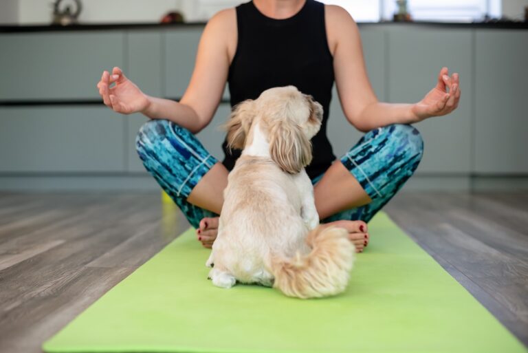 Puppy Yoga