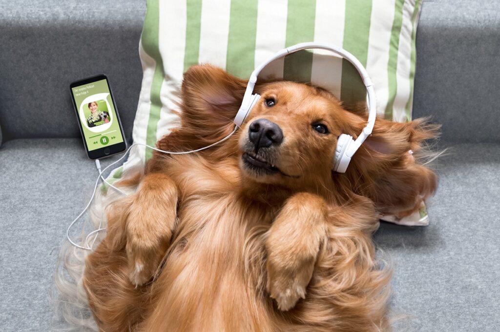 zooplus Podcast „Fantastische Pfoten – der Hunde-Podcast mit dem WAU!“