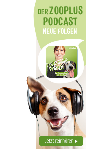 zooplus Hundepodcast 