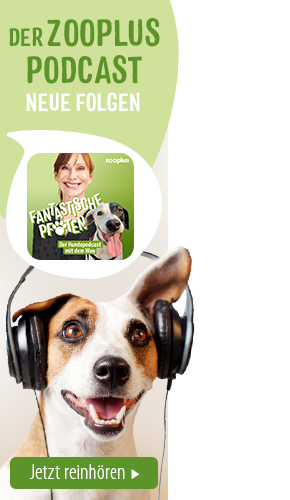 zooplus Hundepodcast 