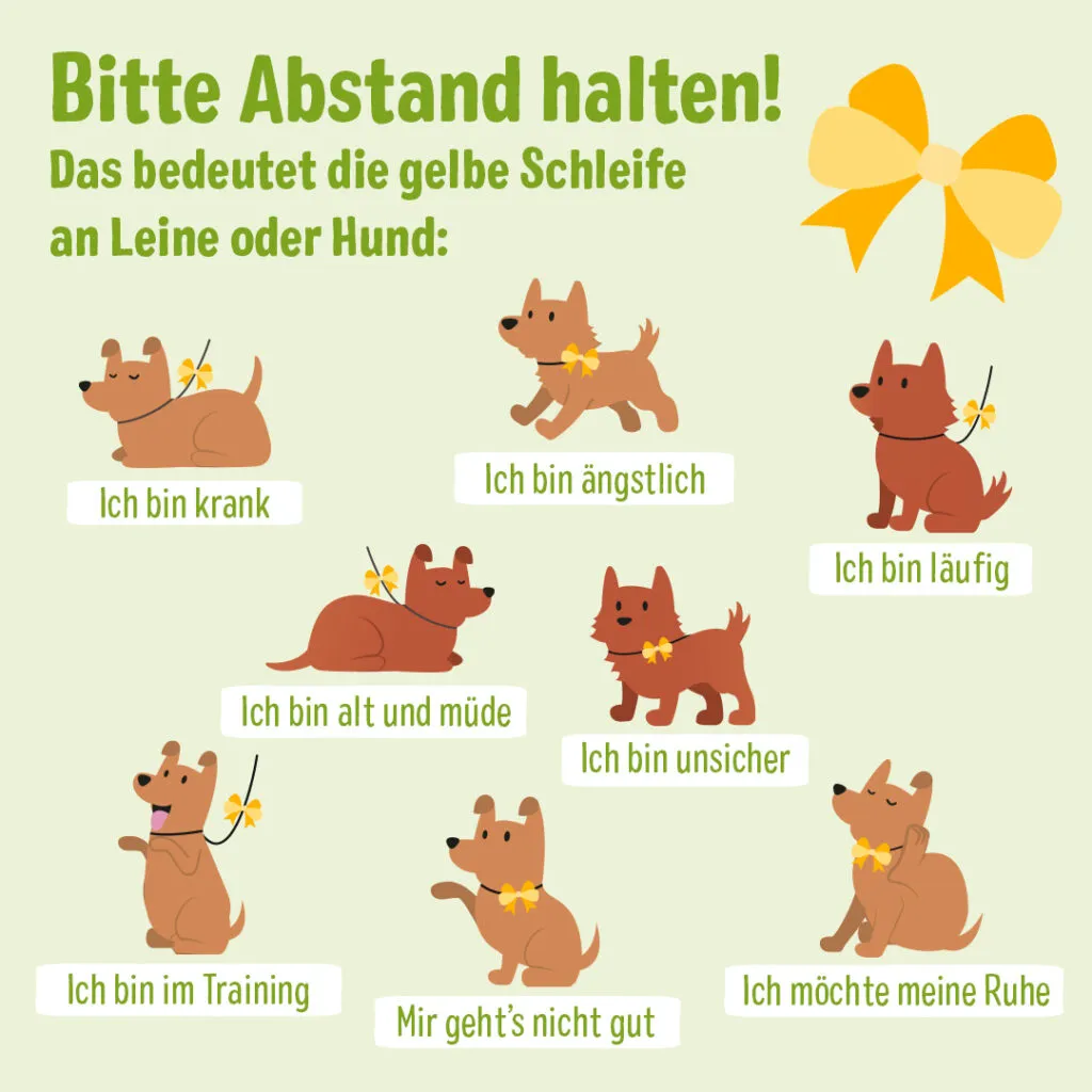 gelbe Schleife Hund Bedeutung