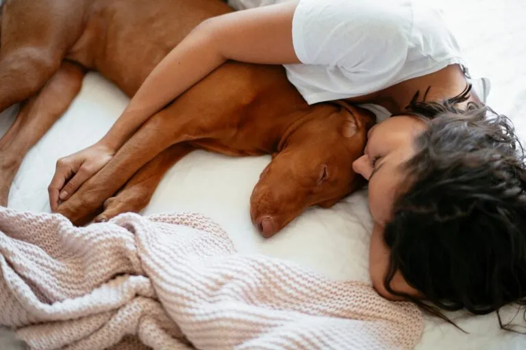 Traumdeutung Hund