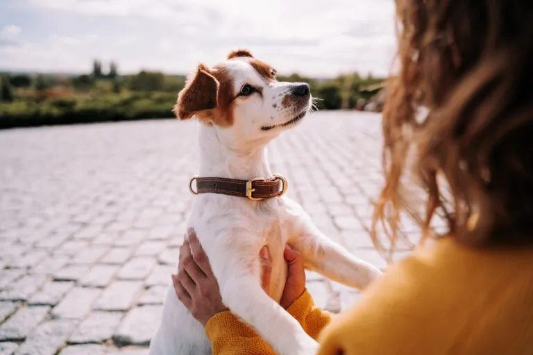 Frau knuddelt Hund zum Welthundetag