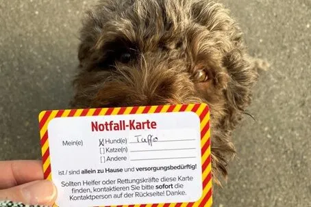 Haustier Notfallkarte