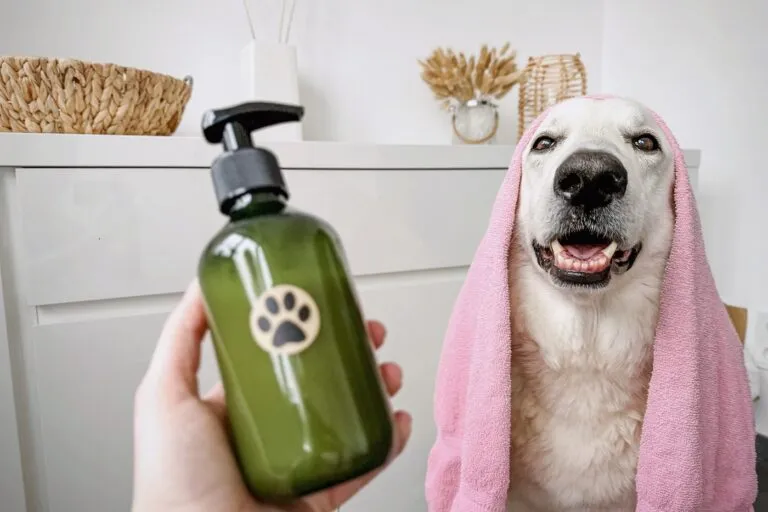 Hundeshampoo selber machen