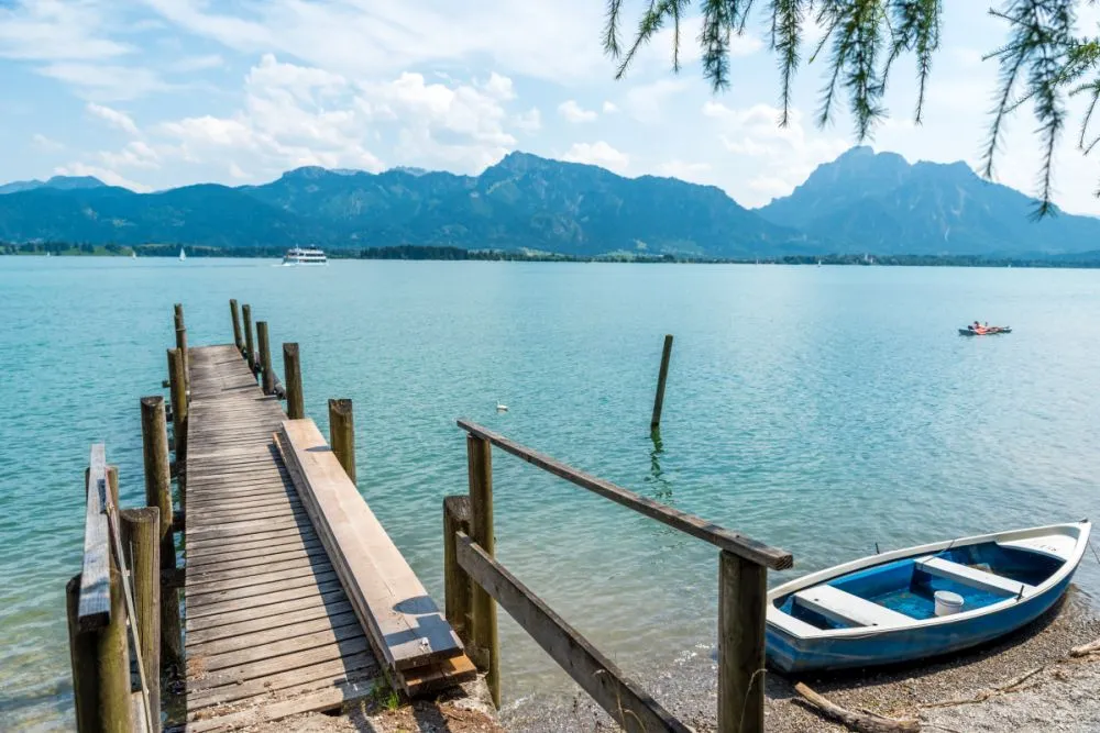 Baden mit Hund am Forggensee