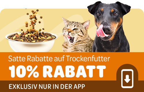 zooplus Rabatt auf Trockenfutter