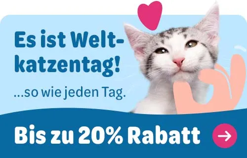 zooplus Weltkatzentag