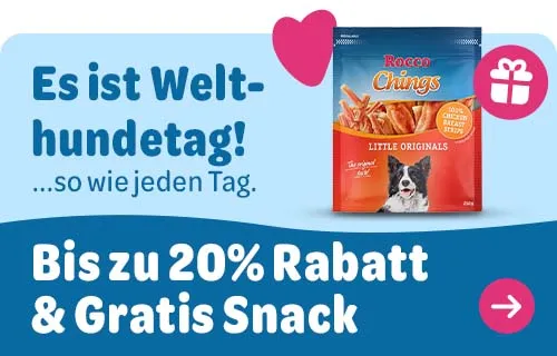 zooplus Rabatt und gratis Snack zum Welthundetag