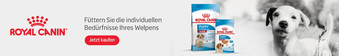 DE_puppy_desktop_royal_canin_1025