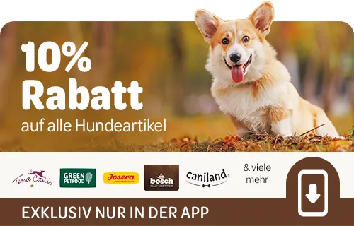 zooplus Rabatt zum Welthundetag