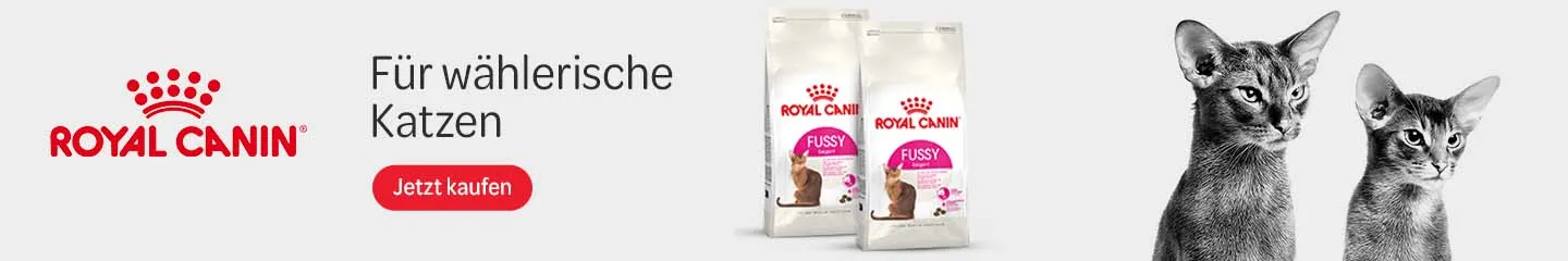 DE_RC_Fussy_Cats_Advertorial_1125