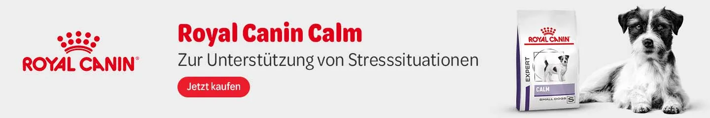 DE_RC_Calm_Dogs_Advertorial_1125