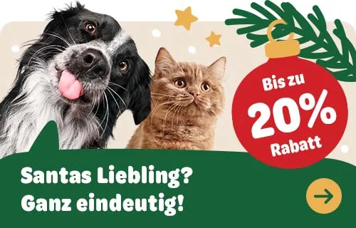 Katze und Hund auf einem Banner zur Bewerbung einer Weihnachtskampagne
